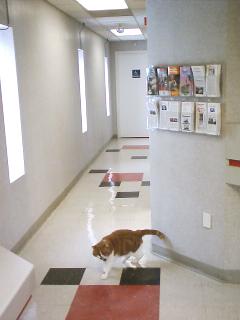 Follow me to an exam room! 